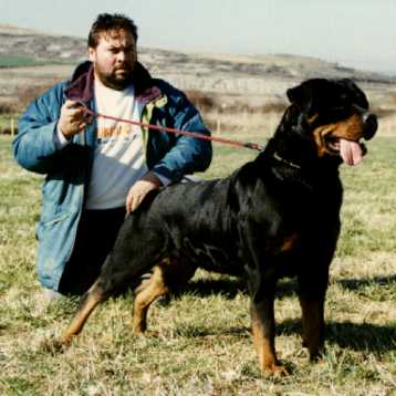 MANOLO SERRANO y CONI MONTE del ANGEL