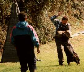 "Kwon" con Fidel, lanzado (RCI I)